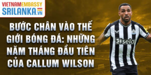 Bước chân vào thế giới bóng đá: những năm tháng đầu tiên của callum wilson