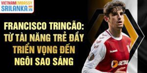 Francisco trincão: từ tài năng trẻ đầy triển vọng đến ngôi sao sáng