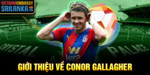 Giới thiệu về conor gallagher