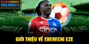 Giới thiệu về eberechi eze