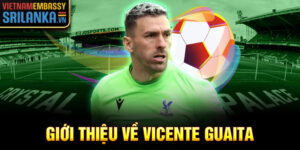 Giới thiệu về vicente guaita