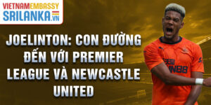 Joelinton: con đường đến với premier league và newcastle united