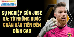 Sự nghiệp của josé sá: từ những bước chân đầu tiên đến đỉnh cao