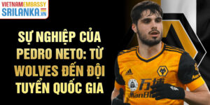 Sự nghiệp của pedro neto: từ wolves đến đội tuyển quốc gia