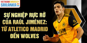 Sự nghiệp rực rỡ của raúl jiménez: từ atletico madrid đến wolves