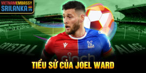 Tiểu sử của joel ward