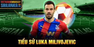 Tiểu sử luka milivojevic