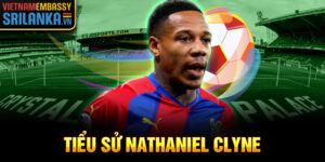 Tiểu sử nathaniel clyne