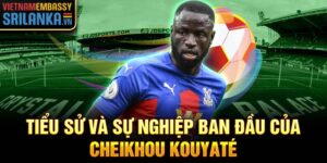 Tiểu sử và sự nghiệp ban đầu của cheikhou kouyaté