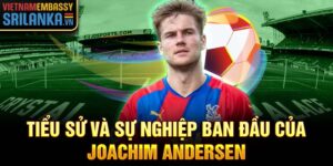 Tiểu sử và sự nghiệp ban đầu của joachim andersen