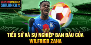 Tiểu sử và sự nghiệp ban đầu của wilfried zaha