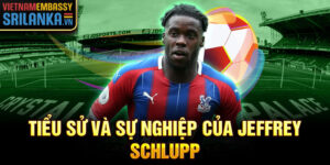 Tiểu sử và sự nghiệp của jeffrey schlupp