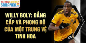 Willy boly: đẳng cấp và phong độ của một trung vệ tinh hoa