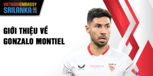 Giới thiệu về Gonzalo Montiel