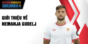 Giới thiệu về Nemanja Gudelj