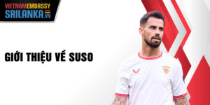 Giới thiệu về Suso