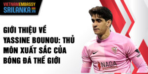Giới thiệu về Yassine Bounou: Thủ môn xuất sắc của bóng đá thế giới
