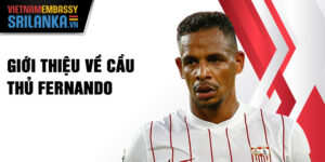 Giới thiệu về cầu thủ Fernando