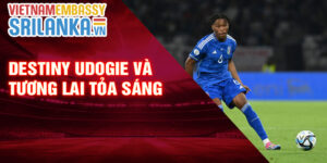 Destiny Udogie và tương lai tỏa sáng